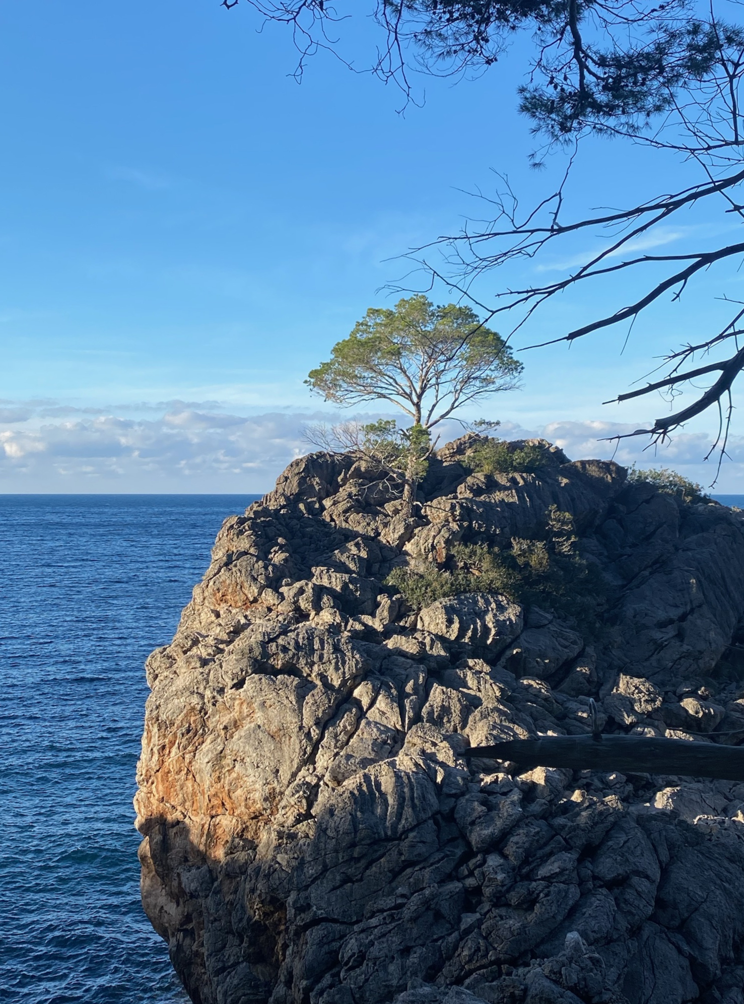 Wasserfasten-Retreat-Mallorca